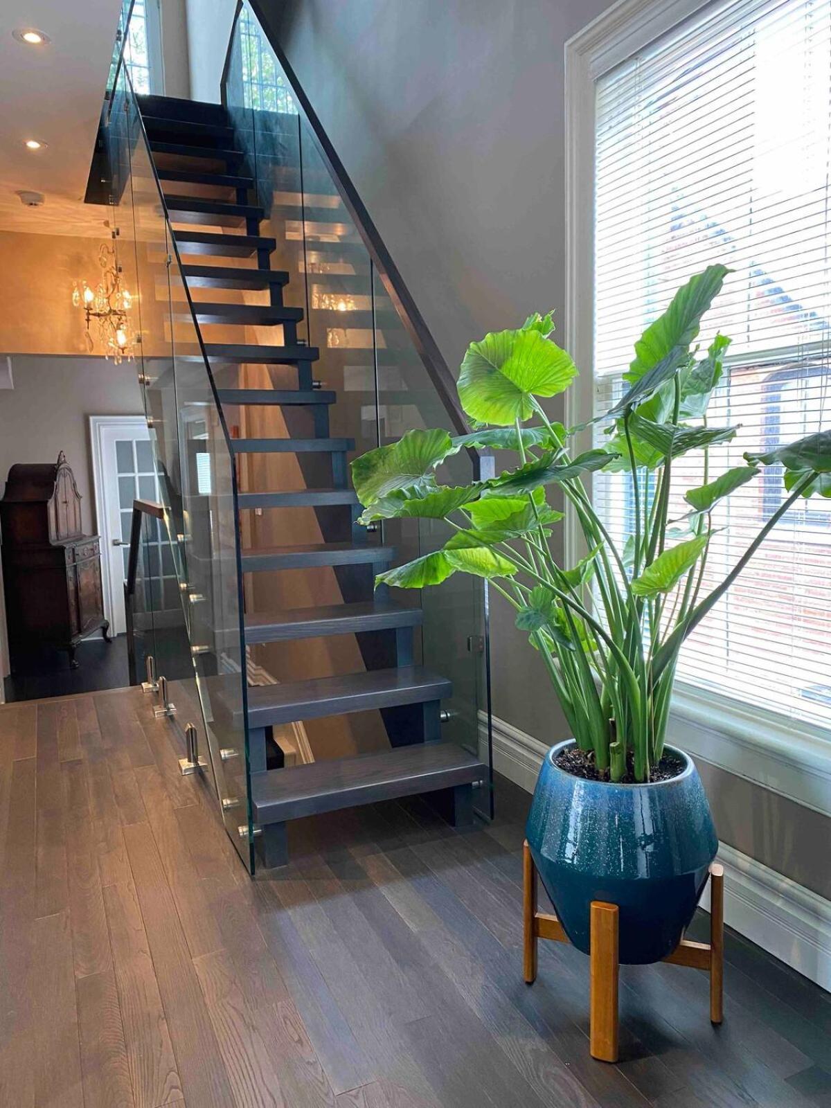 Downtown Luxury Victorian Retreat Hotel Toronto Exterior photo